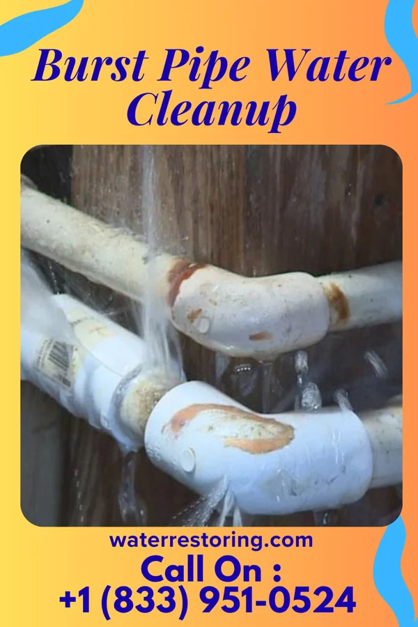 Burst Pipe Water Cleanup in New Burlington, OH