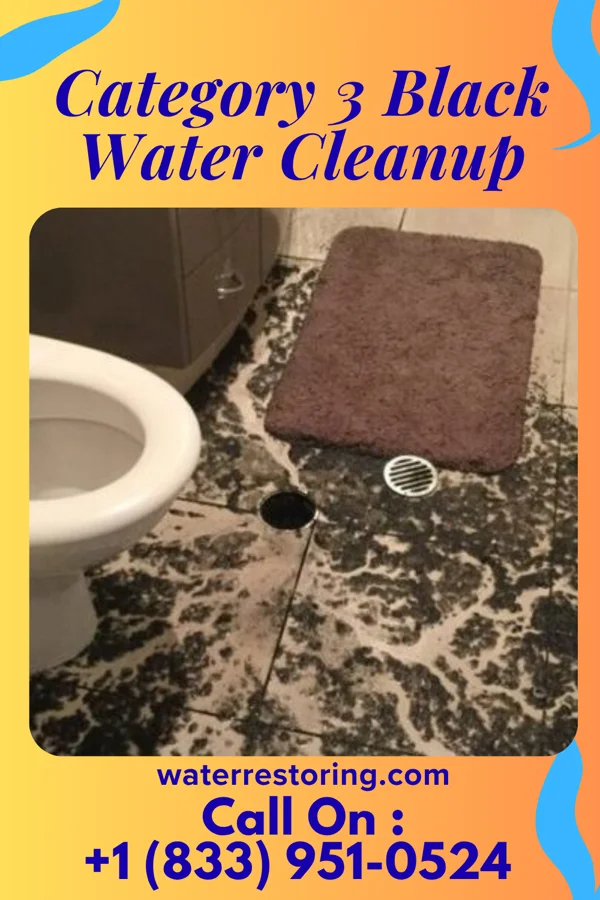 Category 3 Black Water Cleanup in New Burlington, OH