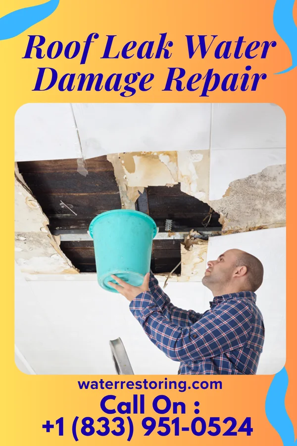 Roof Leak Water Damage Repair in New Burlington, OH