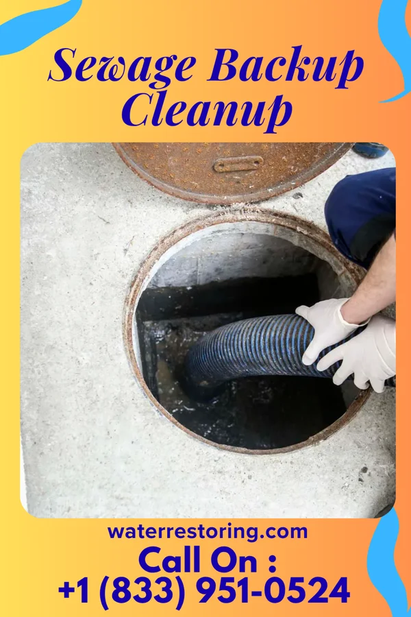 Sewage Backup Cleanup in New Burlington, OH