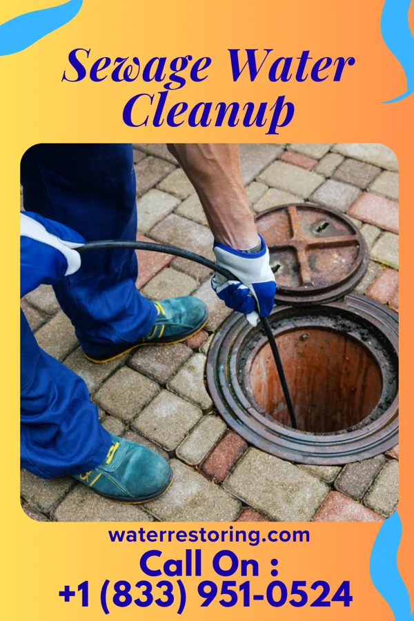 Sewage Water Cleanup in New Burlington, OH