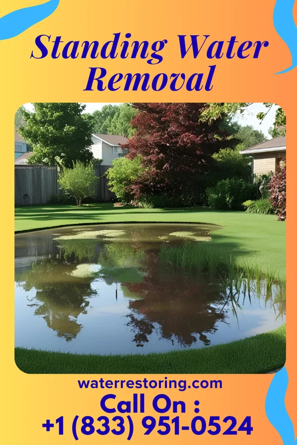 Standing Water Removal in New Burlington, OH